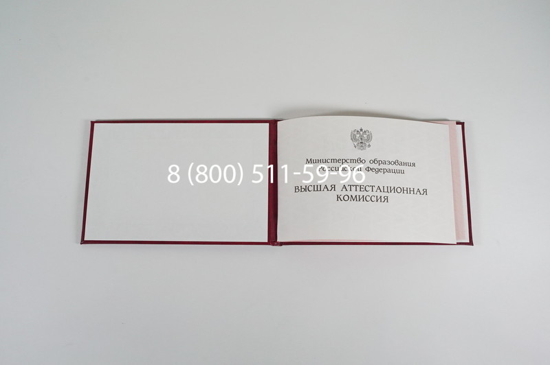 Диплом доктора наук 1995-2006 года в Липецке Диплом доктора наук 1995-2006 года в Липецке