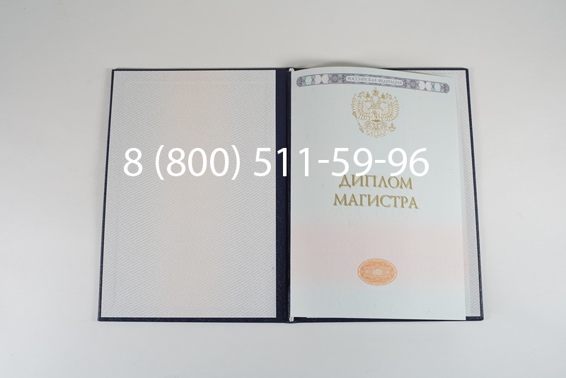Диплом магистра 2014-2024 года в Липецке Диплом магистра 2014-2024 года в Липецке