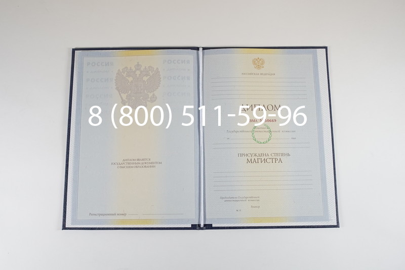Диплом магистра 2010-2011 годов в Липецке Диплом магистра 2010-2011 годов в Липецке