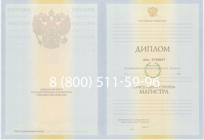 Купить Диплом магистра 2010-2011 годов в Липецке Купить Диплом магистра 2010-2011 годов в Липецке