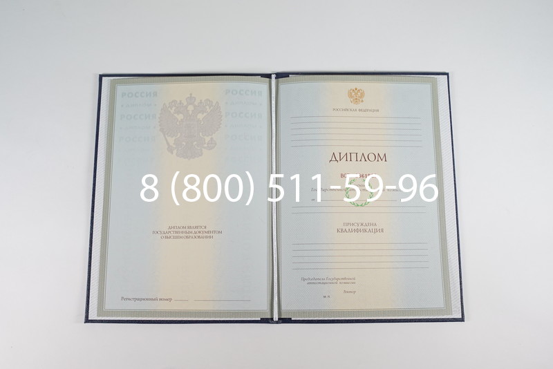 Диплом о высшем образовании 2003-2009 годов в Липецке Диплом о высшем образовании 2003-2009 годов в Липецке